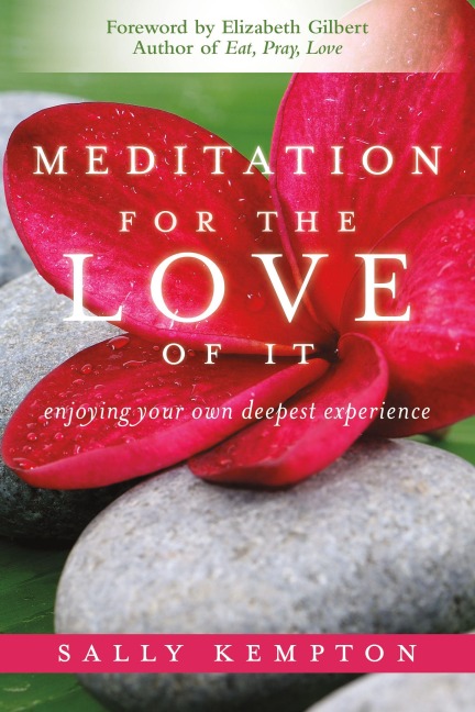 Meditation for the Love of It - Sally Kempton