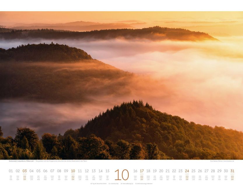 InsideView 10