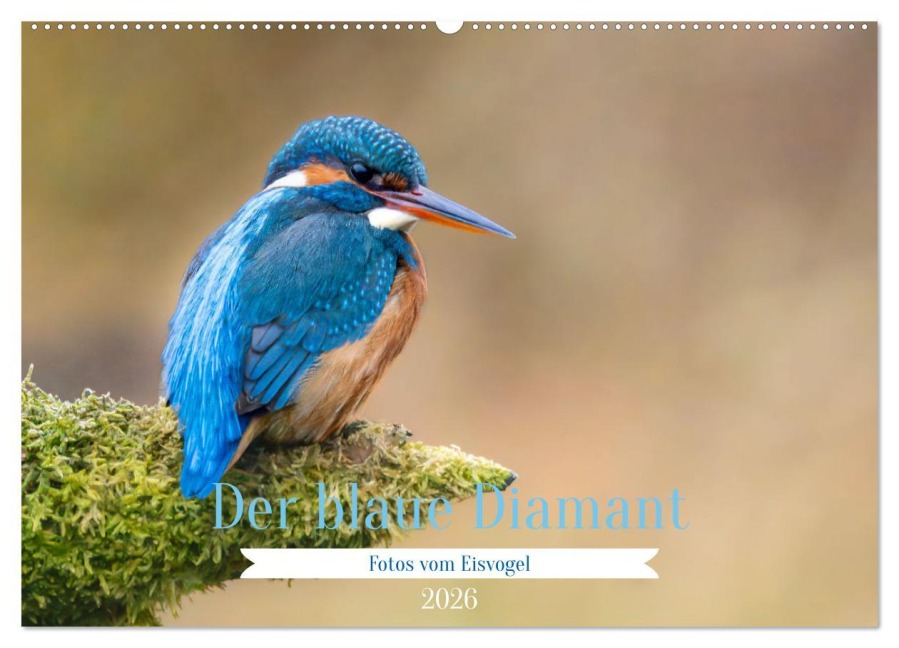 Der blaue Diamant - Fotos vom Eisvogel (Wandkalender 2026 DIN A2 quer), CALVENDO Monatskalender - Ellenlichtenheldt Ellenlichtenheldt