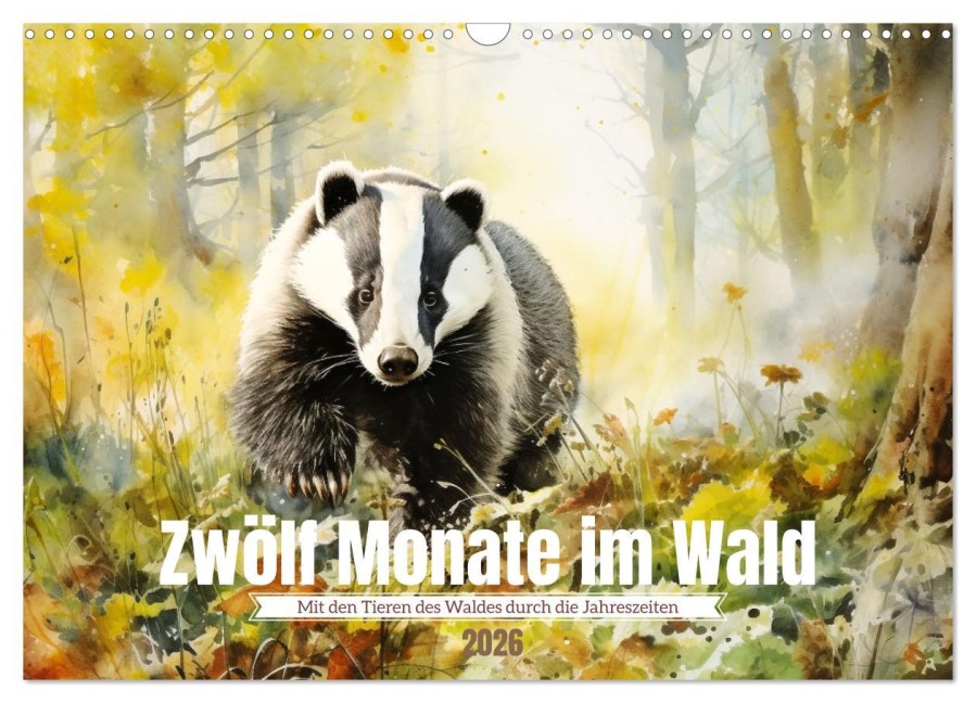 Zwölf Monate im Wald (Wandkalender 2026 DIN A3 quer), CALVENDO Monatskalender - Daniela Tapper