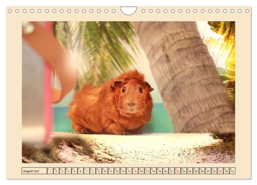 InsideView 13