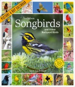Cover-Bild zum Titel 'Audubon Songbirds and Other Backyard Birds Picture-A-Day(r) Wall Calendar 2026' von 'Workman Calendars'