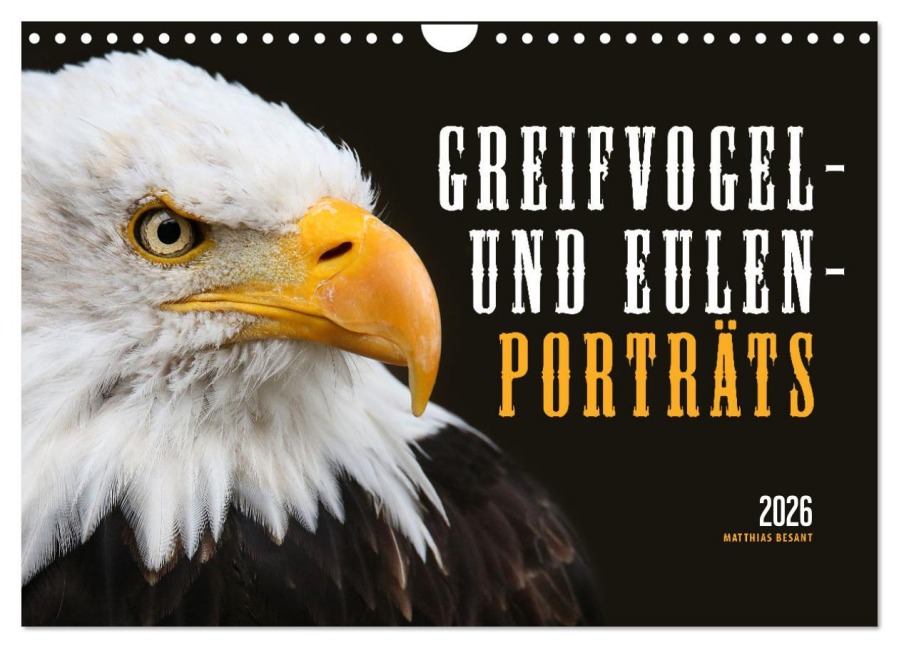 GREIFVOGEL- UND EULENPORTRÄTS (Wandkalender 2026 DIN A4 quer), CALVENDO Monatskalender - Matthias Besant