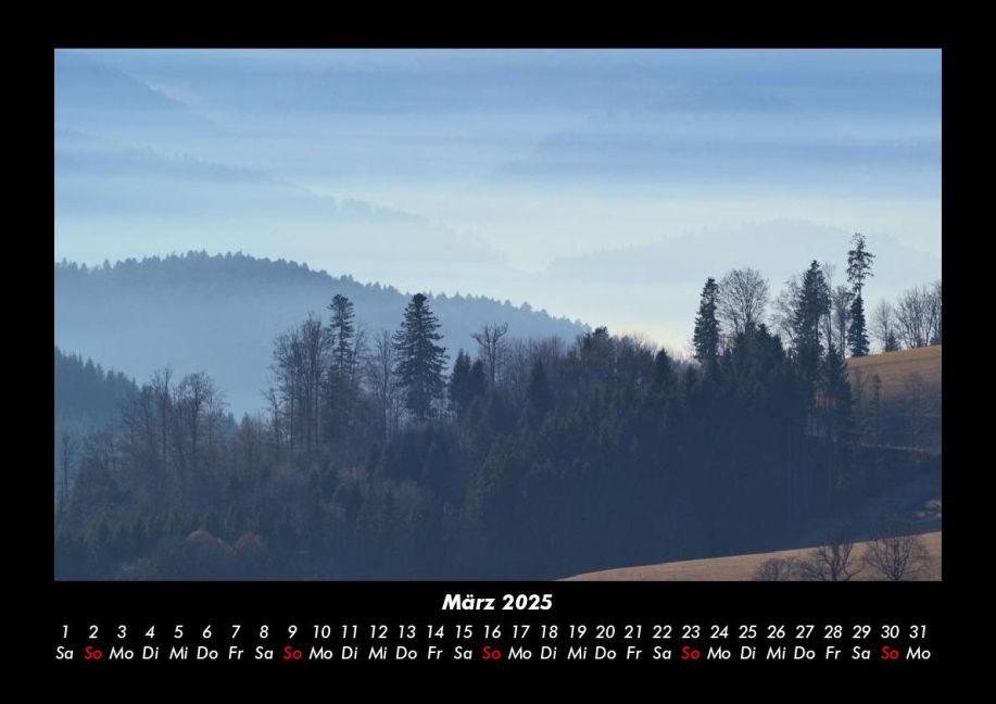 InsideView 7