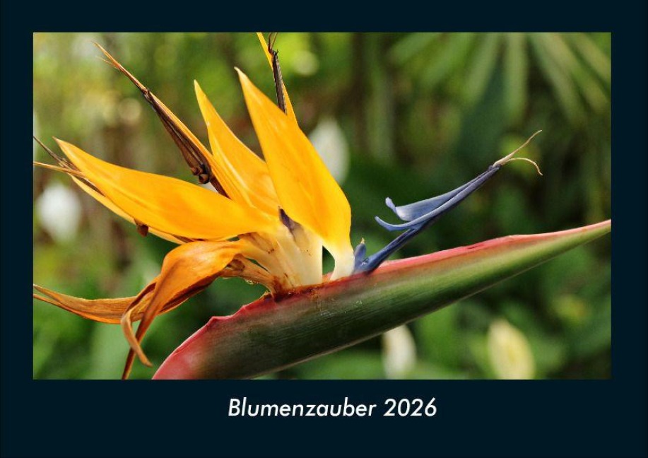 Blumenzauber 2026 Fotokalender DIN A4 - Tobias Becker