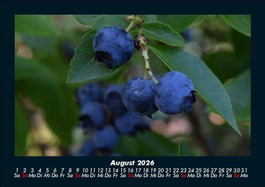 InsideView 12