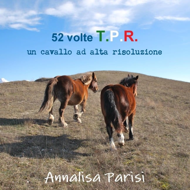 52 volte T.P.R.   -   un cavallo ad alta risoluzione     -     2010 - Annalisa Parisi