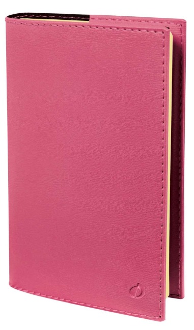 Geschäft Prestige VZ Soho rosa 2026 -  Geschäft Prestige VZ Soho rosa 2026 -