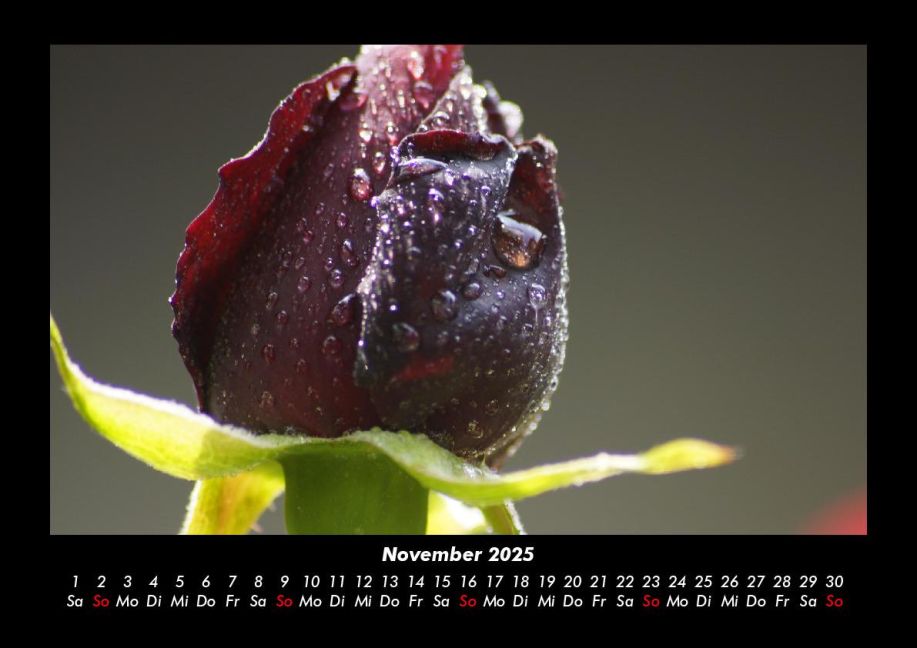 InsideView 3