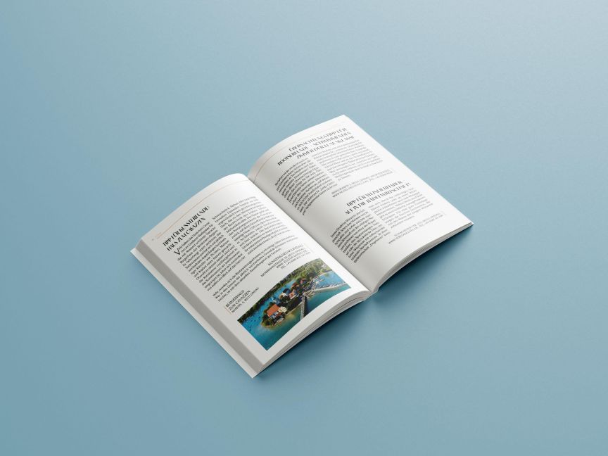 InsideView 3