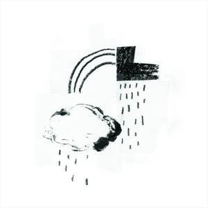 In The Shape Of A Storm - Damien Jurado