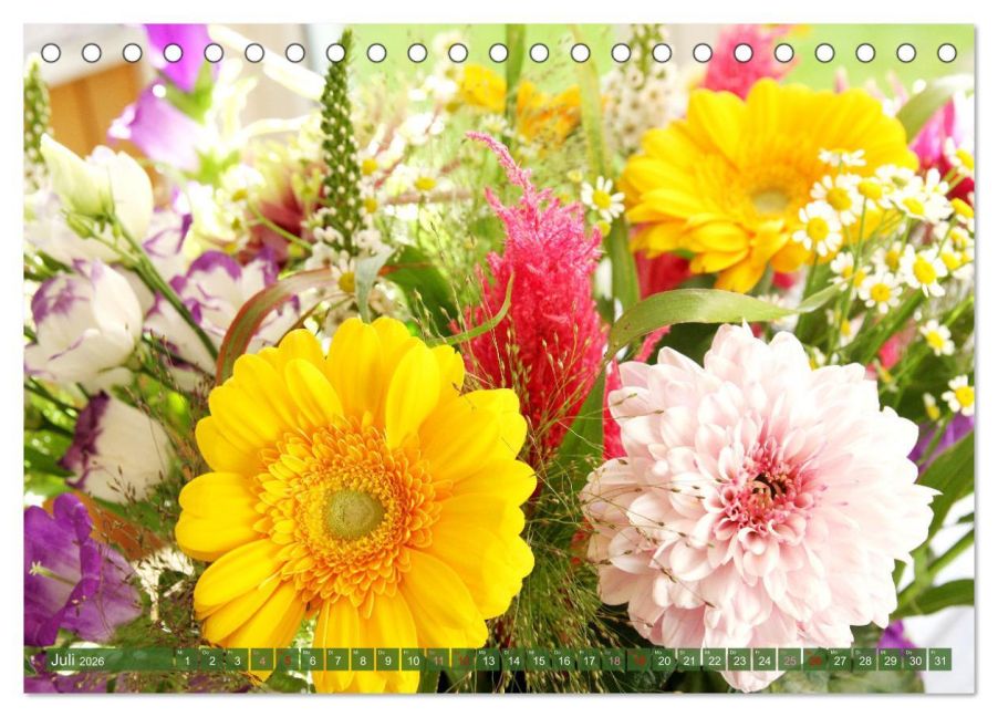 InsideView 12