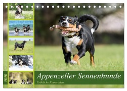 Cover-Bild zum Titel 'Appenzeller Sennenhunde - Fröhliche Kameraden (Tischkalender 2026 DIN A5 quer), CALVENDO Monatskalender' von 'Jana K. Fotografie'
