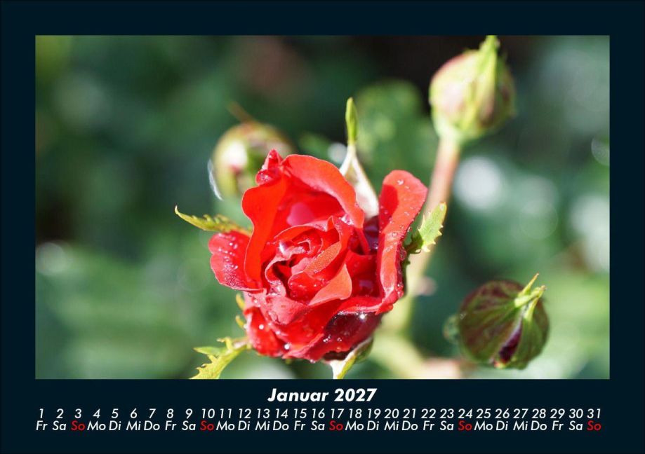 InsideView 5