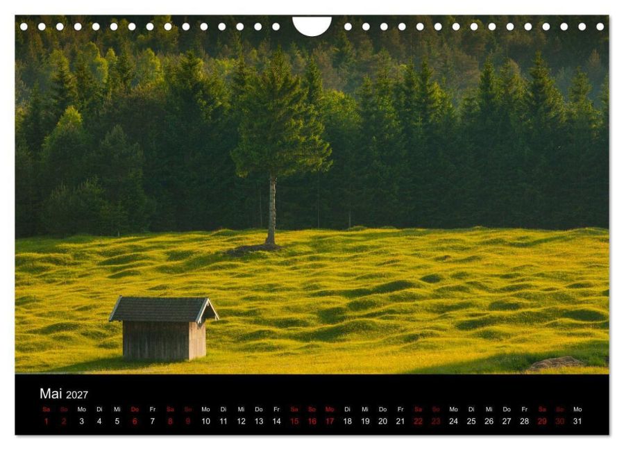 InsideView 10