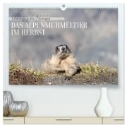 Cover-Bild zum Titel 'Unterwegs in den Hochalpen - Das Alpenmurmeltier im Herbst (hochwertiger Premium Wandkalender 2026 DIN A2 quer), Kunstdruck in Hochglanz' von 'Angela Merk'
