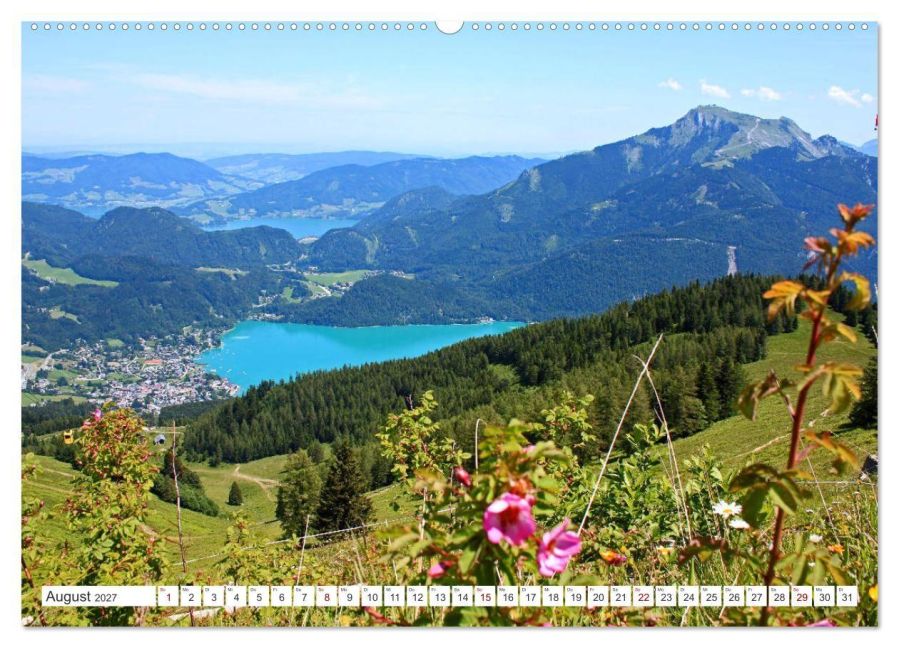 InsideView 12