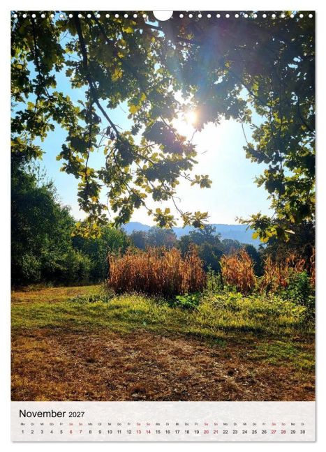 InsideView 3