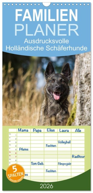 Familienplaner 2026 - ausdrucksvolle Holländische Schäferhunde mit 5 Spalten (Wandkalender, 21 x 45 cm) CALVENDO - Fotodesign Verena Scholze