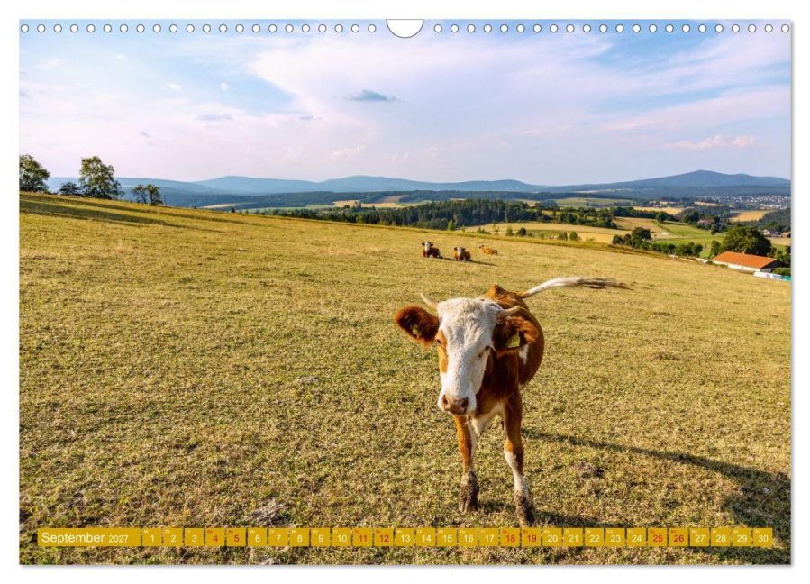 InsideView 14