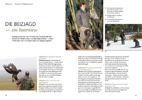 InsideView 3