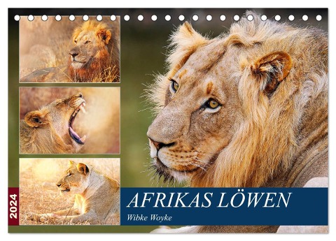 Afrikas Löwen 2024 (Tischkalender 2024 DIN A5 quer), CALVENDO Monatskalender - Wibke Woyke