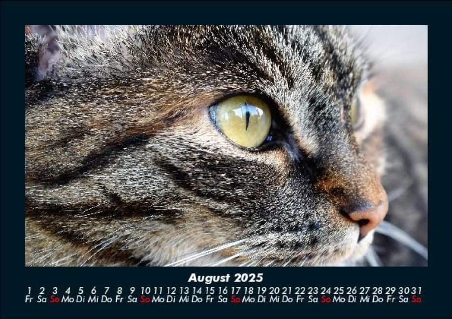InsideView 12
