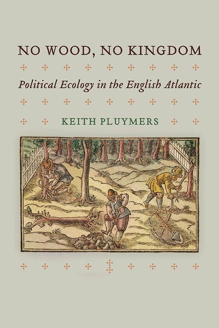 No Wood, No Kingdom - Keith Pluymers