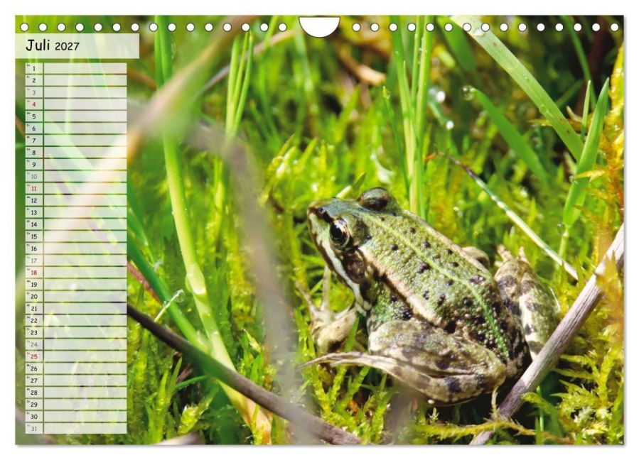 InsideView 12