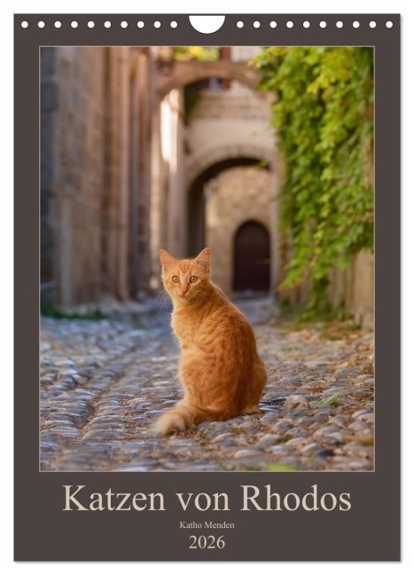 Katzen von Rhodos (Wandkalender 2026 DIN A4 hoch), CALVENDO Monatskalender - Katho Menden