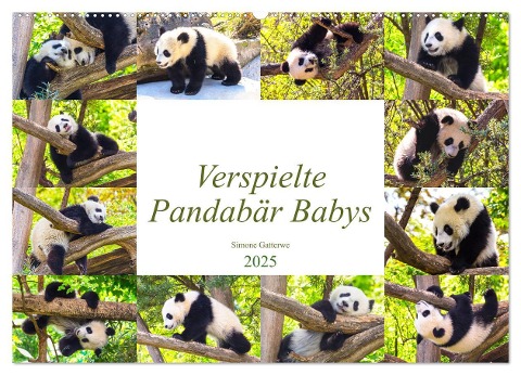 Pandabär Babys (Wandkalender 2025 DIN A2 quer), CALVENDO Monatskalender - Simone Gatterwe