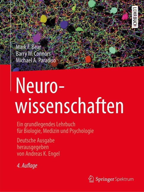 Neurowissenschaften - Mark F. Bear, Michael A. Paradiso, Barry W. Connors