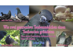 Cover-Bild zum Titel 'Wie zwei gestrandete Taubenmädchen einen Taubenclan gründeten' von 'Jochen Walz'