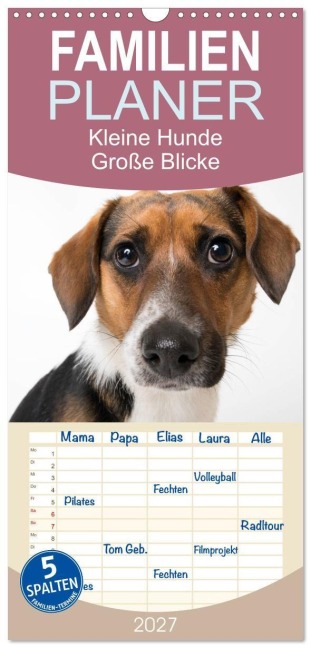 Familienplaner 2027 - Kleine Hunde - Große Blicke mit 5 Spalten (Wandkalender, 21 x 45 cm) CALVENDO - Akrema-Photography Akrema-Photography
