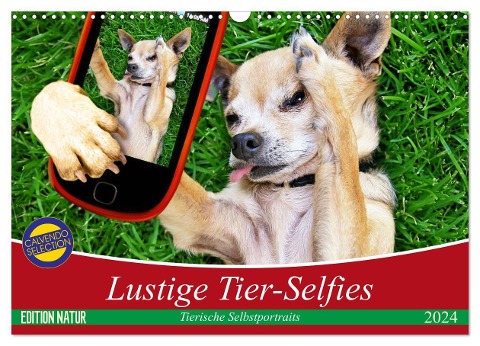 Lustige Tier-Selfies. Tierische Selbstportraits (Wandkalender 2024 DIN A3 quer), CALVENDO Monatskalender - Elisabeth Stanzer