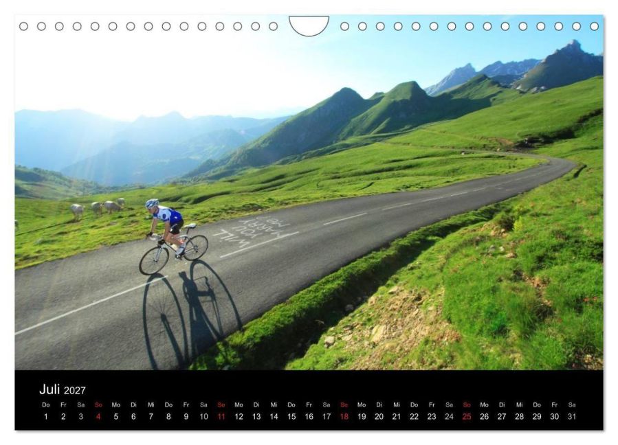 InsideView 12