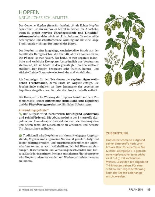 InsideView 13