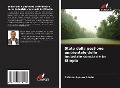 Cover-Bild zum Titel 'Stato della gestione ambientale delle industrie conciarie in Etiopia' von 'Birhanu Ayalew Abebe'