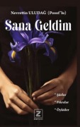 Cover-Bild zum Titel 'Sana Geldim' von 'Nevrettin Uludag'