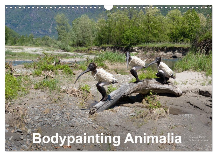 Bodypainting Animalia (Wandkalender 2026 DIN A3 quer), CALVENDO Monatskalender - Romana Lara