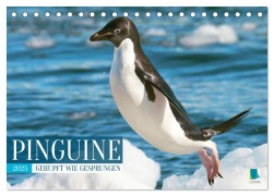 Pinguine: Gehupft wie gesprungen (Tischkalender 2025 DIN A5 quer), CALVENDO Monatskalender - Calvendo Calvendo