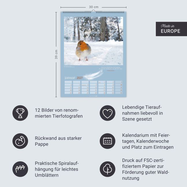 InsideView 13