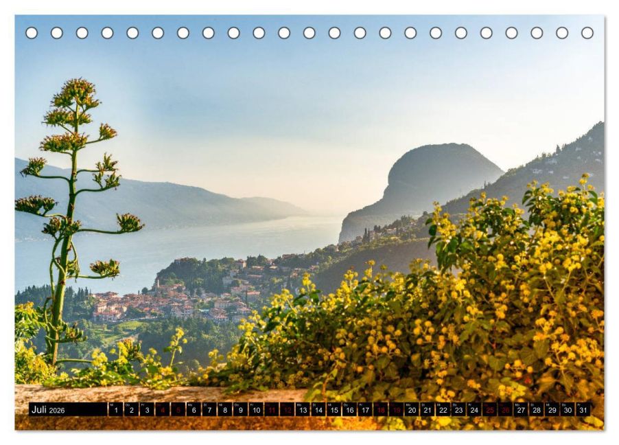 InsideView 12