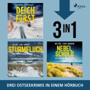 Cover-Bild zum Titel 'Deichfürst, Sturmfluch, Nebelschuld' von 'Heike van Hoorn'