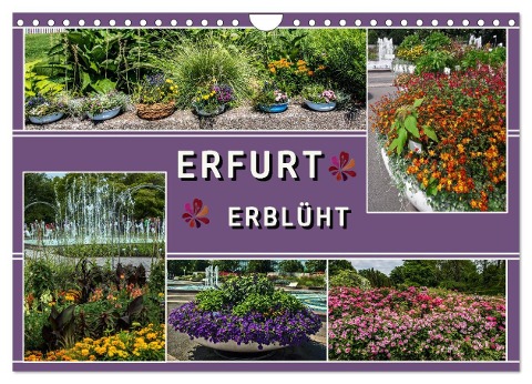 Erfurt erblüht (Wandkalender 2024 DIN A4 quer), CALVENDO Monatskalender - Elke Hermann Koch
