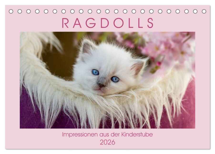 RAGDOLLS Impressionen aus der Kinderstube (Tischkalender 2026 DIN A5 quer), CALVENDO Monatskalender - Marion Reiß-Seibert