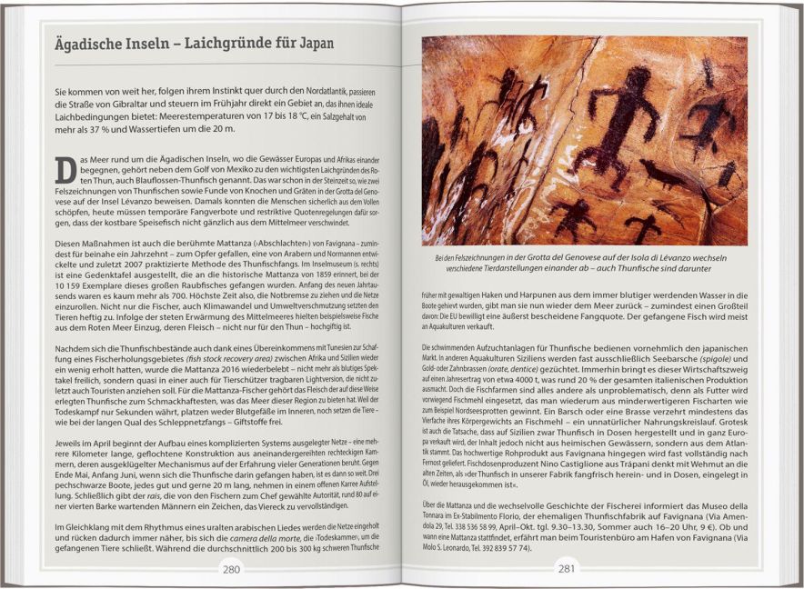 InsideView 5