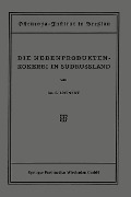 Cover-Bild zum Titel 'Die Nebenproduktenkokerei in Südrussland' von 'L. Litinsky'