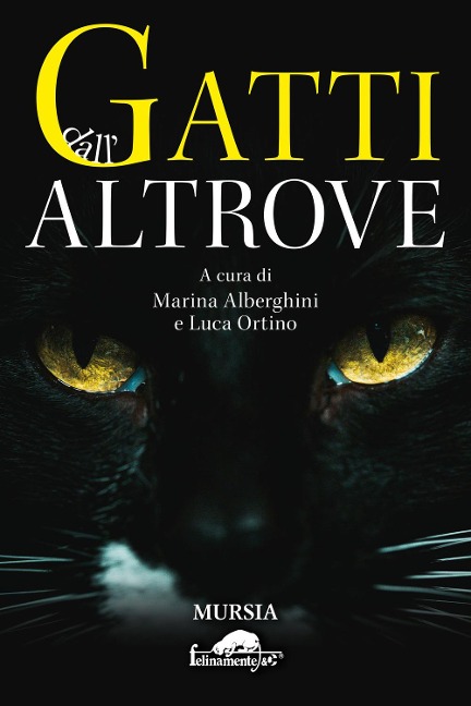 Gatti dall'altrove - 