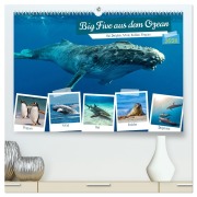 Cover-Bild zum Titel 'Big Five aus dem Ozean Hai, Delphin, Wal, Robbe, Pinguin (hochwertiger Premium Wandkalender 2026 DIN A2 quer), Kunstdruck in Hochglanz' von 'Susan Michel'
